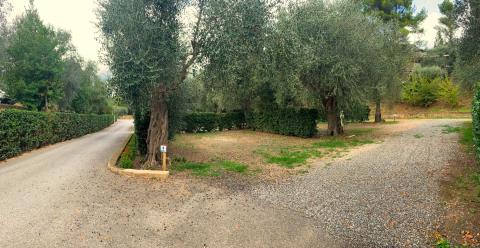 XL pitch Vallicella
